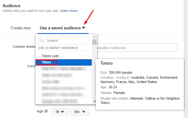 Use a saved audience