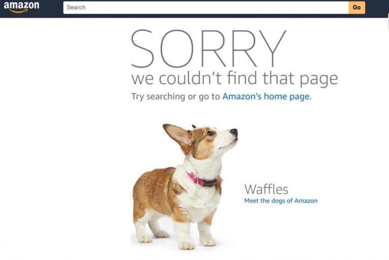 404 page design Amazon