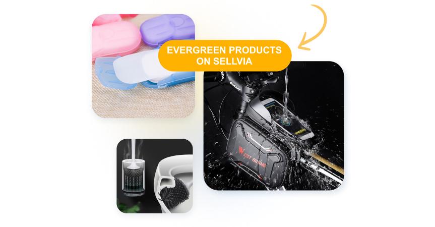 Examples of evergreen dropshipping products that never lose popularity