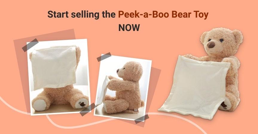 a picture showing what to sell for profit bear toy